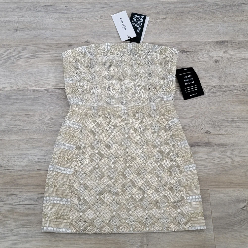 Retrofete Silver Mini Dress - Picture 6 of 13